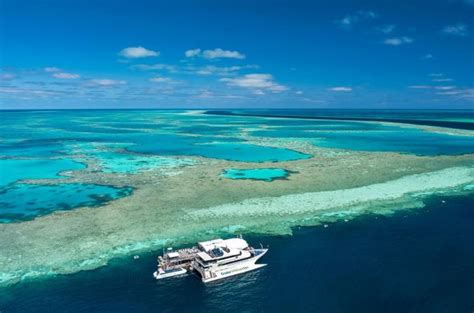 Day Trips From Airlie Beach To Great Barrier Reef