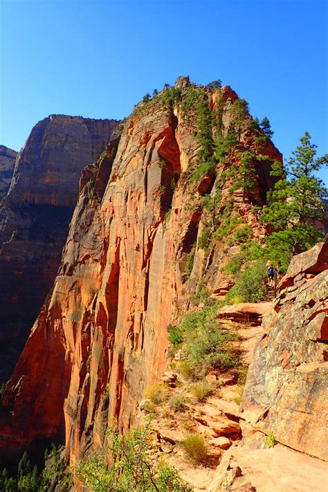 How High Is Angels Landing Zion