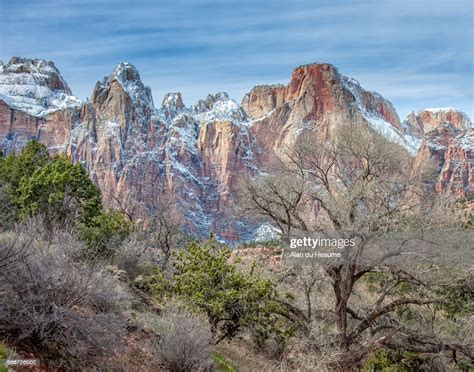 What Is Zion Like In March